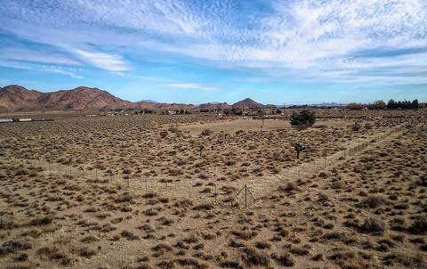 9970 Ivanhoe Rd, Lucerne Valley, CA 92356 photo 11