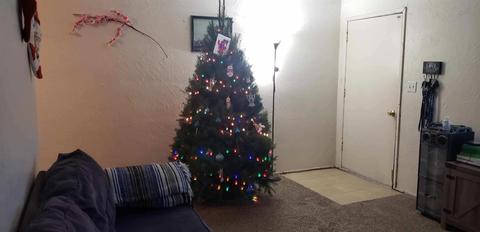 930 Pine Ave, Barstow, CA 92311 photo 11