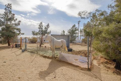 11624 Acanthus St, Phelan, CA 92371 photo 46