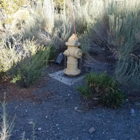 7623 Scrub Oak Dr, Wrightwood, CA 92397 photo 6