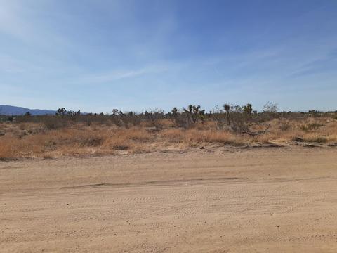 11360 Smith Rd, Phelan, CA 92371 photo 1