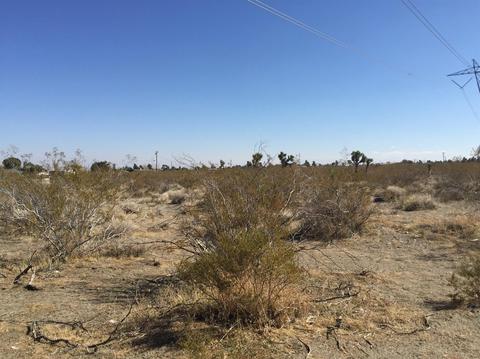 3781 Marco Rd, Phelan, CA 92371 photo 1