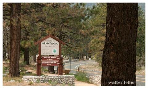 1279 Irene St, Wrightwood, CA 92397 photo 17