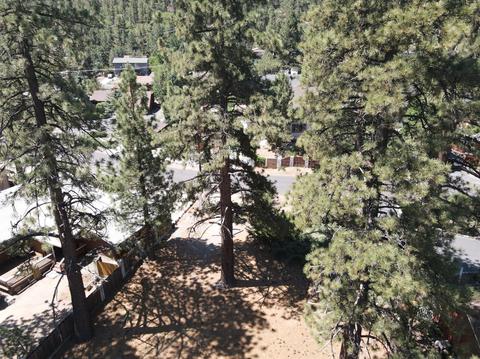 838 Mountain View Ave, Wrightwood, CA 92397 photo 9