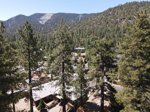 838 Mountain View Ave, Wrightwood, CA 92397 photo 1