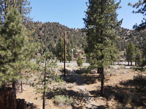 838 Mountain View Ave, Wrightwood, CA 92397 photo 15