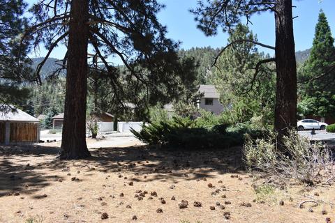 838 Mountain View Ave, Wrightwood, CA 92397 photo 10