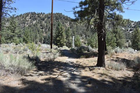 838 Mountain View Ave, Wrightwood, CA 92397 photo 14