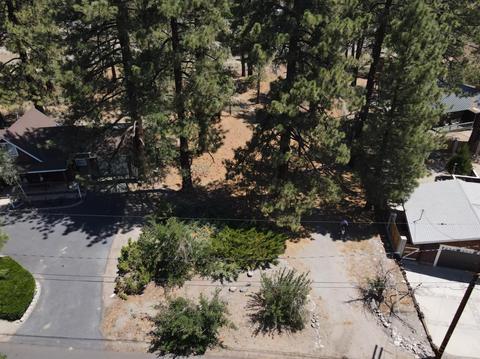 838 Mountain View Ave, Wrightwood, CA 92397 photo 6