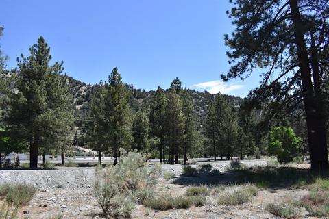 838 Mountain View Ave, Wrightwood, CA 92397 photo 16