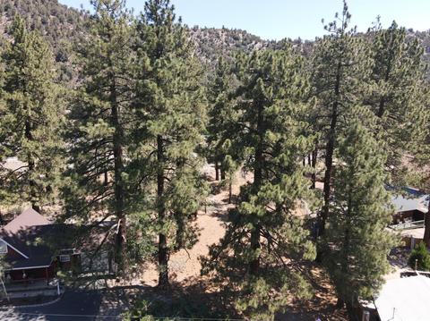 838 Mountain View Ave, Wrightwood, CA 92397 photo 7