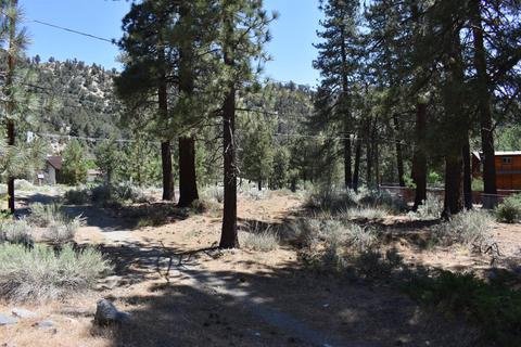 838 Mountain View Ave, Wrightwood, CA 92397 photo 13