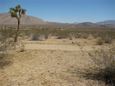 15775 Apache Trl, Apple Valley, CA 92307 photo 1