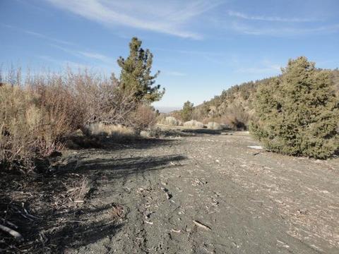 2415 Zermatt Dr, Wrightwood, CA 92397 photo 3