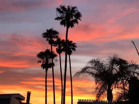 Undisclosed, Oxnard, CA 93035 photo 71
