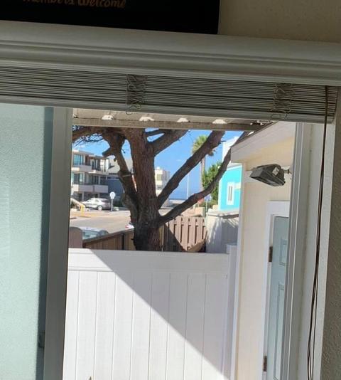 Undisclosed, Oxnard, CA 93035 photo 24