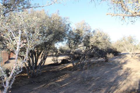 Undisclosed, Phelan, CA 92371 photo 50