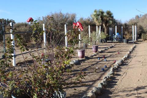 Undisclosed, Phelan, CA 92371 photo 40