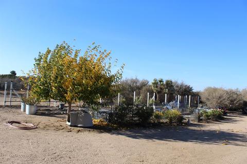 Undisclosed, Phelan, CA 92371 photo 30