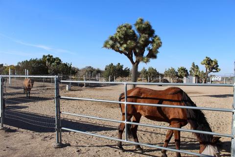 Undisclosed, Phelan, CA 92371 photo 28