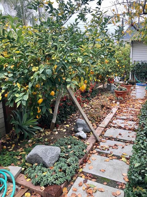 101 E San Emidio St, Taft, CA 93268 photo 32