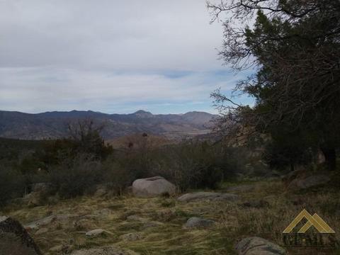 1301 Alpine Way, Bodfish, CA 93205 photo 27
