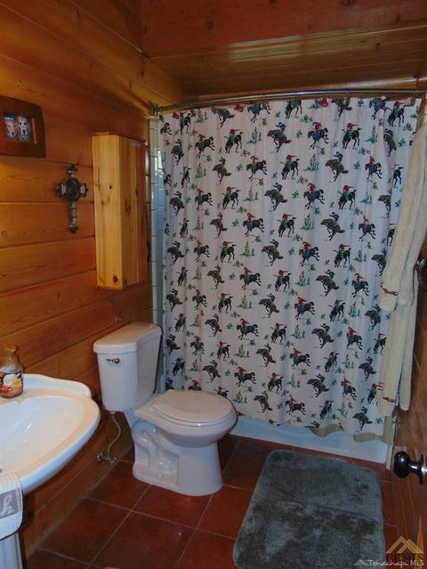 13073 Jay Dr, Caliente, CA 93518 photo 8