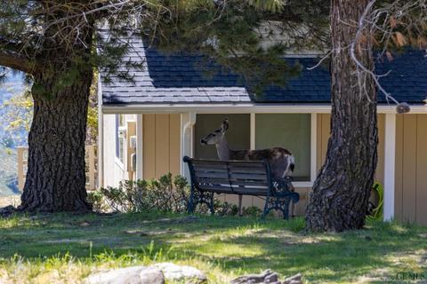 18200 Morgan Ct, Tehachapi, CA 93561 photo 25