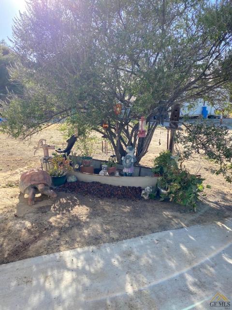 28144 Chaparral Ave, Taft, CA 93268 photo 19