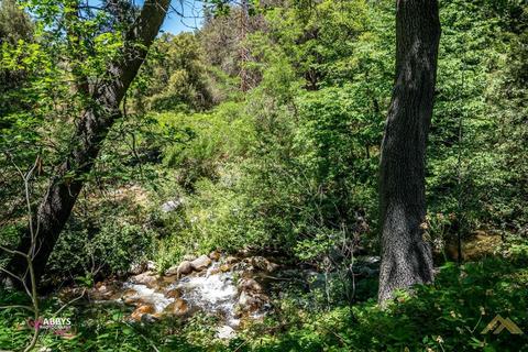 42822 Yellow Pine Ln, Posey, CA 93260 photo 10