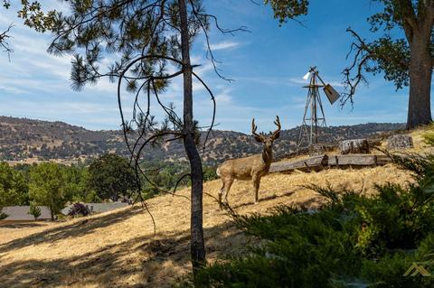 29120 Crocker Ct, Tehachapi, CA 93561 photo 5