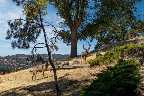 29120 Crocker Ct, Tehachapi, CA 93561 photo 4