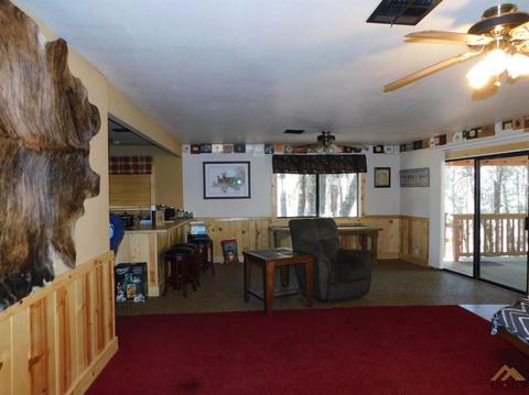46199 Pump House Rd, Posey, CA 93260 photo 4