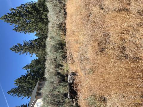 26651 Stirrup Way, Tehachapi, CA 93561 photo 1