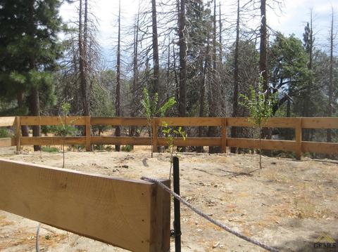 45747 Hathily Dr, Posey, CA 93260 photo 3