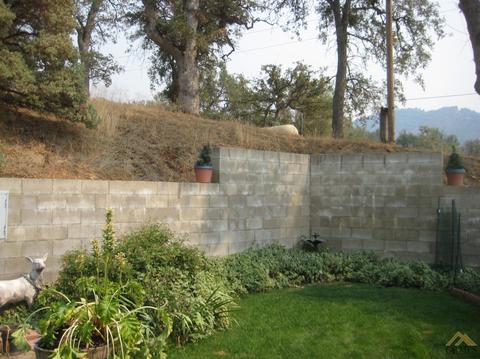 43353 43353 Pine Dr, Posey, CA 93260 photo 8