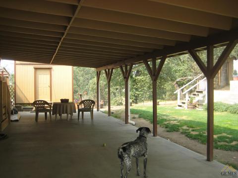 43353 43353 Pine Dr, Posey, CA 93260 photo 7