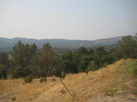 43353 43353 Pine Dr, Posey, CA 93260 photo 13