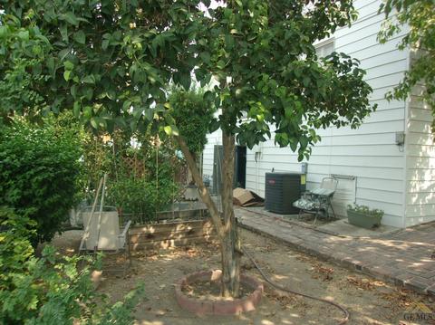 534 D St, Taft, CA 93268 photo 27