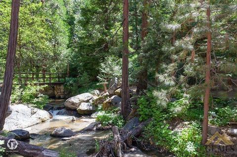 45261 Poso Park Dr, Posey, CA 93260 photo 22