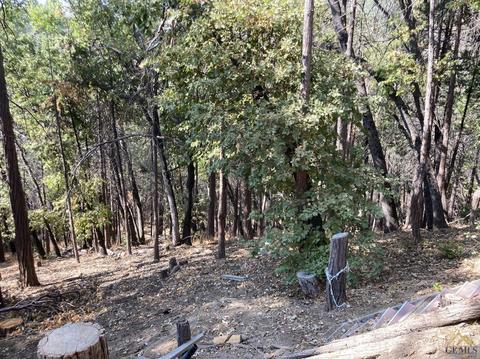 46131 Kathy Ln, Posey, CA 93260 photo 34