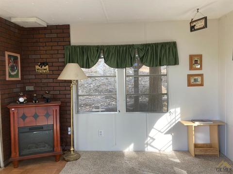 46131 Kathy Ln, Posey, CA 93260 photo 18