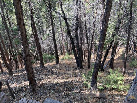 46131 Kathy Ln, Posey, CA 93260 photo 33