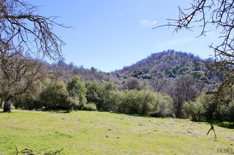 42304 Old Stage Rd, Posey, CA 93260 photo 9