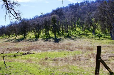 42304 Old Stage Rd, Posey, CA 93260 photo 6