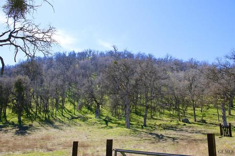 42304 Old Stage Rd, Posey, CA 93260 photo 5