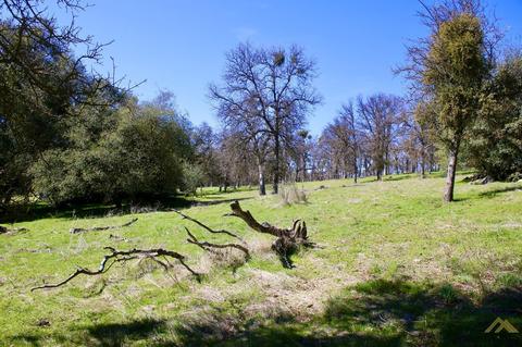 42304 Old Stage Rd, Posey, CA 93260 photo 16