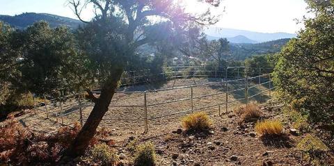 25613 Horseshoe Ln, Tehachapi, CA 93561 photo 13