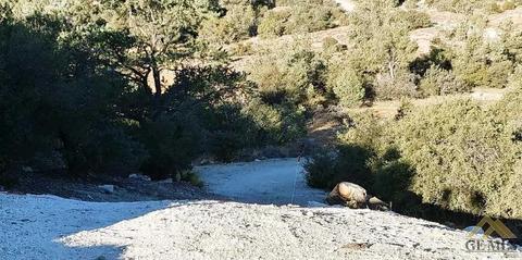 25613 Horseshoe Ln, Tehachapi, CA 93561 photo 2