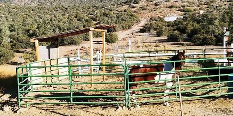 25613 Horseshoe Ln, Tehachapi, CA 93561 photo 10